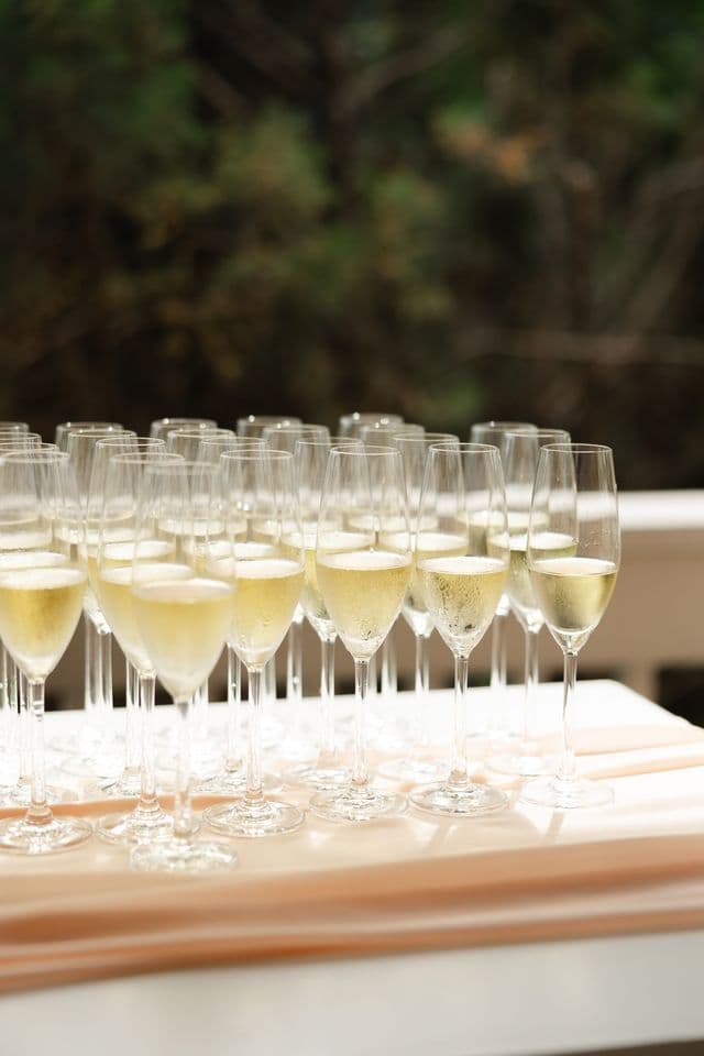 Rows of filled glasses set out for guests at an outdoor event